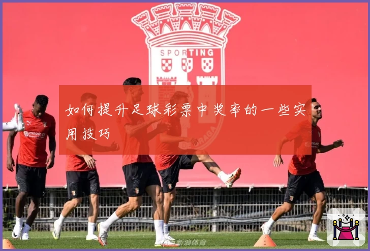 如何提升足球彩票中奖率的一些实用技巧