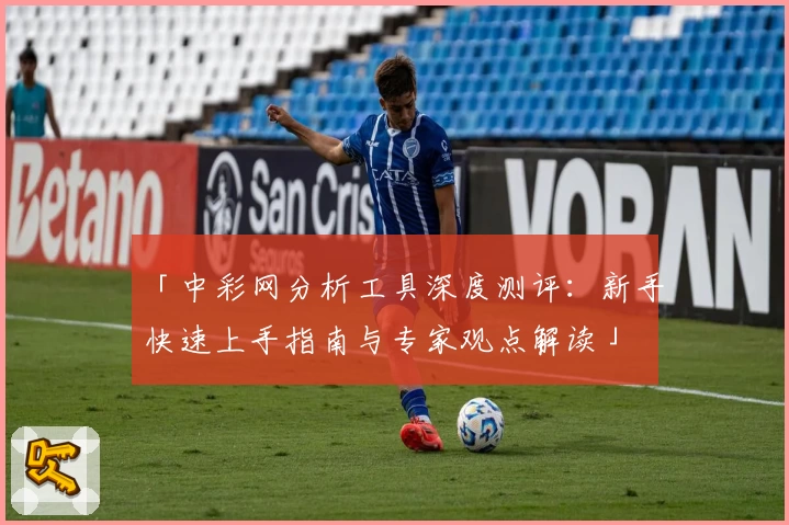 「中彩网分析工具深度测评:新手快速上手指南与专家观点解读」