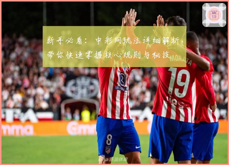 新手必看：中彩网玩法详细解析，带你快速掌握核心规则与秘技