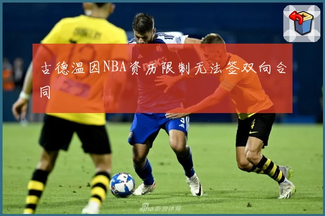 古德温因NBA资历限制无法签双向合同