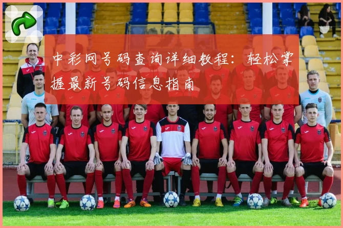 中彩网号码查询详细教程：轻松掌握最新号码信息指南