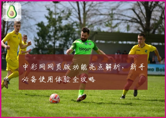 中彩网网页版功能亮点解析，新手必备使用体验全攻略