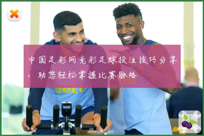 中国足彩网竞彩足球投注技巧分享，助您轻松掌握比赛脉络